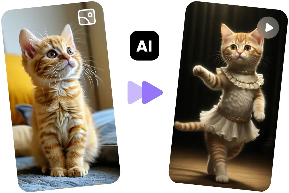 More Views and Engagement with Effortless Meme Videos