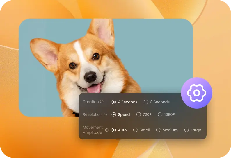 Adjust Settings and Generate
