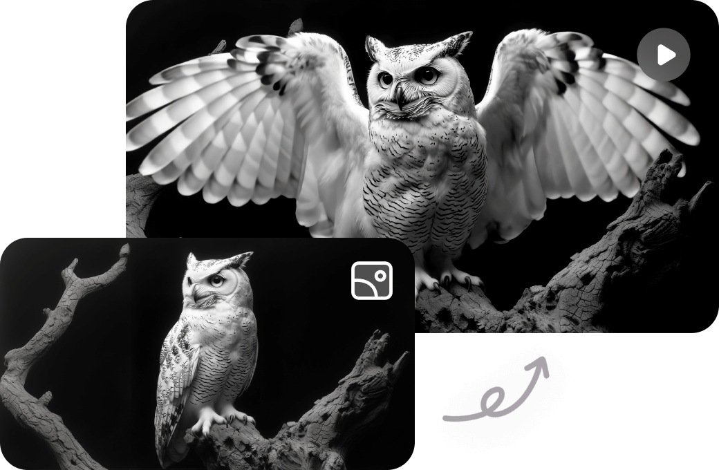 Animate Every Element in Your Images